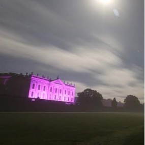 Chatsworth purple 1