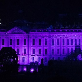 Chatsworth purple VJ