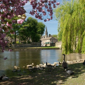 credit Karen-Frankel-Bakewell