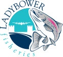 ladybower-logo
