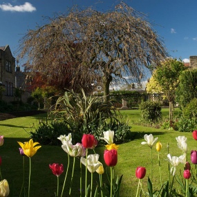 bakewell flowers