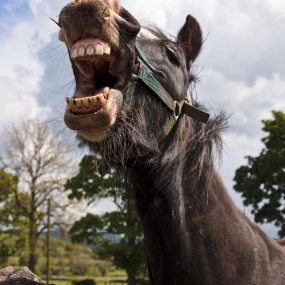 shutterstock 35283247