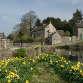 credit-karen-frenkel-tissington-village