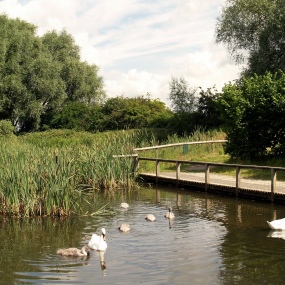 rosliston-forestry-centre