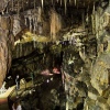 Poached egg cavern 3mg