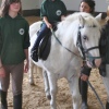 riding misc 4 (1)
