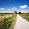 shutterstock 50710744