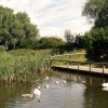 rosliston forestry-centre