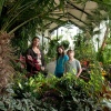 Credit linda-bussey-pavilion-gardens-5