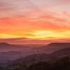 shutterstock 118265071
