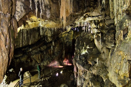 Poached egg cavern 3mg