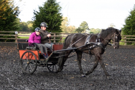 riding taster 14