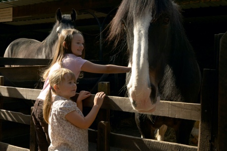 chatsworth-farm