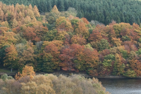 2011 10 25 16.38