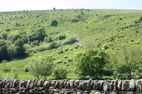 Wall at Cressbrook